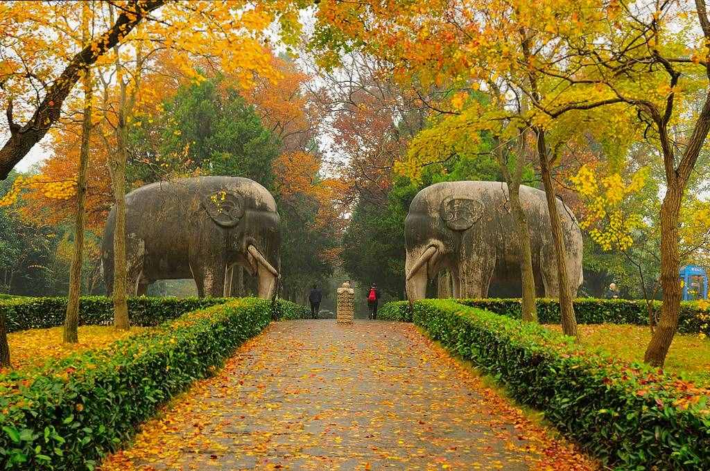 南京旅游景点介绍南京旅游别总去夫子庙