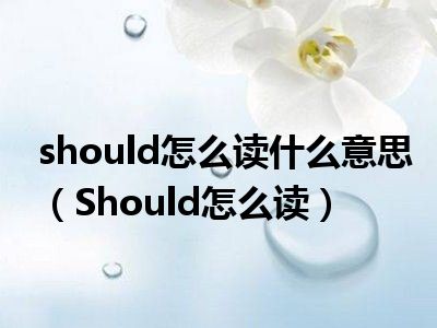 should怎么读什么意思(should怎么读)_好房网