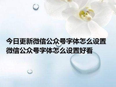 今日更新微信公众号字体怎么设置微信公众号字体怎么设置好看