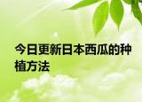 今日更新日本西瓜的种植方法