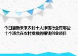 今日更新未来农村十大挣钱行业有哪些 十个适合在农村发展的赚钱创业项目