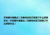 不知细叶谁裁出二月春风似剪刀采用了什么修辞手法（不知细叶谁裁出二月春风似剪刀运用了什么修辞手法）