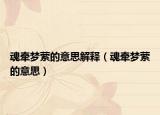 魂牵梦萦的意思解释（魂牵梦萦的意思）