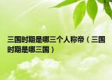 三国时期是哪三个人称帝（三国时期是哪三国）