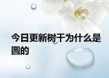 今日更新树干为什么是圆的