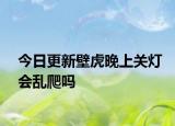 今日更新壁虎晚上关灯会乱爬吗
