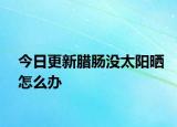 今日更新腊肠没太阳晒怎么办