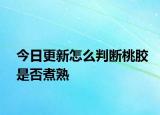 今日更新怎么判断桃胶是否煮熟