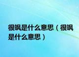 很飒是什么意思（很飒是什么意思）