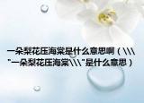 一朵梨花压海棠是什么意思啊（\