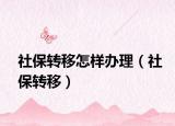 社保转移怎样办理（社保转移）