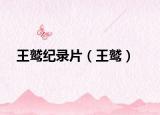 王鹫纪录片（王鹫）