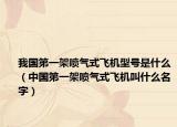 我国第一架喷气式飞机型号是什么（中国第一架喷气式飞机叫什么名字）