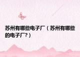 苏州有哪些电子厂（苏州有哪些的电子厂?）