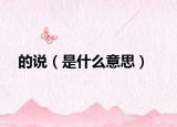 的说（是什么意思）