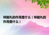 樟脑丸的作用是什么（樟脑丸的作用是什么）