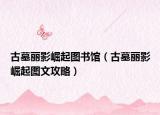 古墓丽影崛起图书馆（古墓丽影崛起图文攻略）