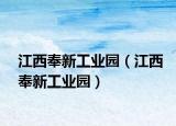 江西奉新工业园（江西奉新工业园）