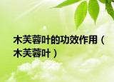 木芙蓉叶的功效作用（木芙蓉叶）