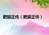 肥猫正传（肥猫正传）