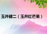 玉井健二（玉井红芒果）
