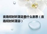 夜雨何时听萧瑟是什么意思（夜雨何时听萧瑟）
