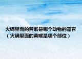 火锅里面的黄喉是哪个动物的器官（火锅里面的黄喉是哪个部位）