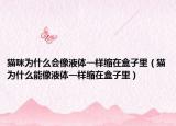 猫咪为什么会像液体一样缩在盒子里（猫为什么能像液体一样缩在盒子里）