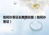 如何办签证去美国定居（如何办签证）