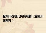 金刚川在哪儿免费观看（金刚川在哪儿）