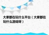 大家都在玩什么平台（大家都在玩什么游戏呀）