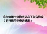 农行信用卡查询密码忘了怎么修改（农行信用卡查询进度）
