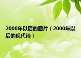 2000年以后的图片（2000年以后的现代诗）