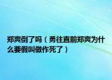 郑爽倒了吗（勇往直前郑爽为什么要假叫做作死了）