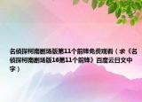 名侦探柯南剧场版第11个前锋免费观看（求《名侦探柯南剧场版16第11个前锋》百度云日文中字）