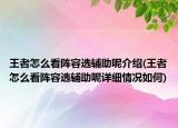 王者怎么看阵容选辅助呢介绍(王者怎么看阵容选辅助呢详细情况如何)