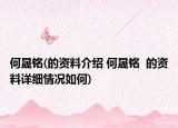 何晟铭(的资料介绍 何晟铭  的资料详细情况如何)