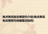 斑点黄尾鱼在哪里钓介绍(斑点黄尾鱼在哪里钓详细情况如何)