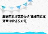 非洲国家杯冠军介绍(非洲国家杯冠军详细情况如何)