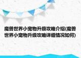 魔兽世界小宠物升级攻略介绍(魔兽世界小宠物升级攻略详细情况如何)