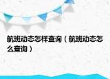 航班动态怎样查询（航班动态怎么查询）