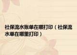 社保流水账单在哪打印（社保流水单在哪里打印）