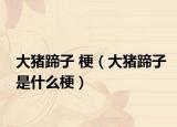 大猪蹄子 梗（大猪蹄子是什么梗）