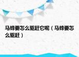 马蜂要怎么驱赶它呢（马蜂要怎么驱赶）
