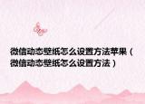 微信动态壁纸怎么设置方法苹果（微信动态壁纸怎么设置方法）