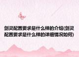 剑灵配置要求是什么样的介绍(剑灵配置要求是什么样的详细情况如何)