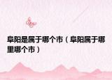 阜阳是属于哪个市（阜阳属于哪里哪个市）