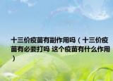 十三价疫苗有副作用吗（十三价疫苗有必要打吗 这个疫苗有什么作用）