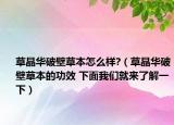 草晶华破壁草本怎么样?（草晶华破壁草本的功效 下面我们就来了解一下）