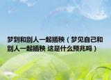 梦到和别人一起插秧（梦见自己和别人一起插秧 这是什么预兆吗）
